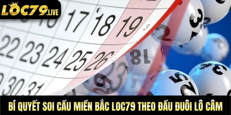 Bí quyết soi cầu miền Bắc Loc79 theo đầu đuôi lô câm