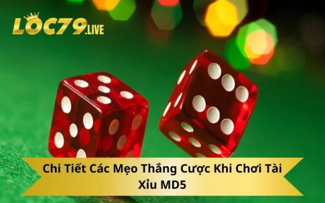 Chi Tiết Các Mẹo Thắng Cược Khi Chơi Tài Xỉu MD5