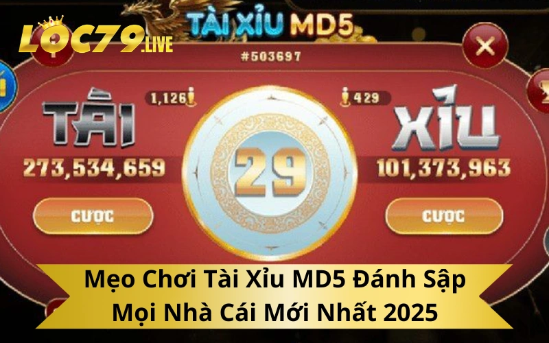 Mẹo Chơi Tài Xỉu MD5 Đánh Sập Mọi Nhà Cái Mới Nhất 2025