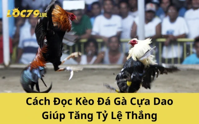 Cách Đọc Kèo Đá Gà Cựa Dao Giúp Tăng Tỷ Lệ Thắng
