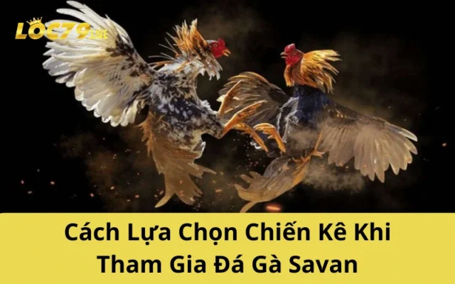 Cách Lựa Chọn Chiến Kê Khi Tham Gia Đá Gà Savan