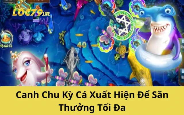 Canh Chu Kỳ Cá Xuất Hiện Để Săn Thưởng Tối Đa
