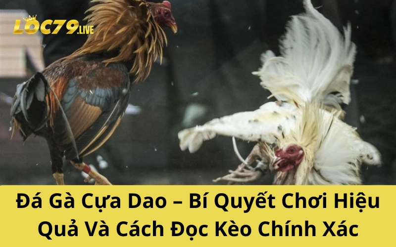 Đá Gà Cựa Dao – Bí Quyết Chơi Hiệu Quả Và Cách Đọc Kèo Chính Xác