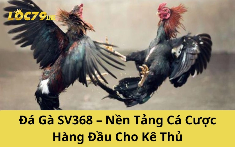 Đá Gà SV368 – Nền Tảng Cá Cược Hàng Đầu Cho Kê Thủ