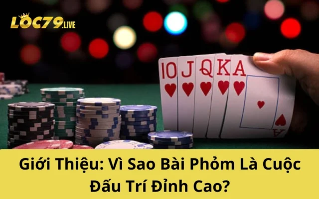 Giới Thiệu: Vì Sao Bài Phỏm Là Cuộc Đấu Trí Đỉnh Cao?