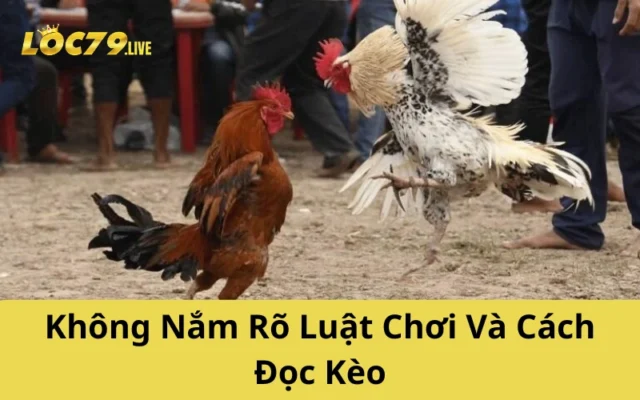 Không Nắm Rõ Luật Chơi Và Cách Đọc Kèo