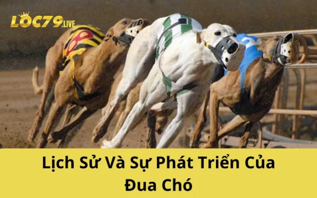 Lịch Sử Và Sự Phát Triển Của Đua Chó