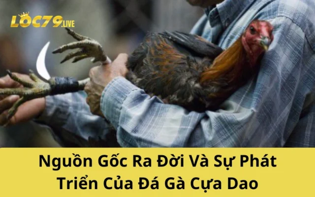 Nguồn Gốc Ra Đời Và Sự Phát Triển Của Đá Gà Cựa Dao