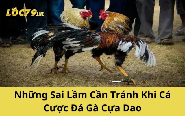 Những Sai Lầm Cần Tránh Khi Cá Cược Đá Gà Cựa Dao
