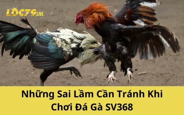 Những Sai Lầm Cần Tránh Khi Chơi Đá Gà SV368