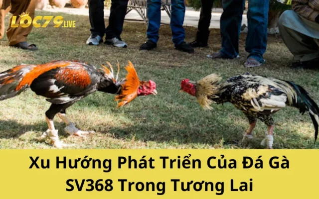 Xu Hướng Phát Triển Của Đá Gà SV368 Trong Tương Lai