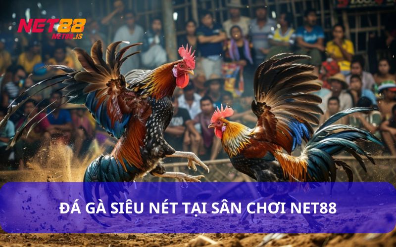 Vì Sao Nên Chơi Đá Gà Tại Net88