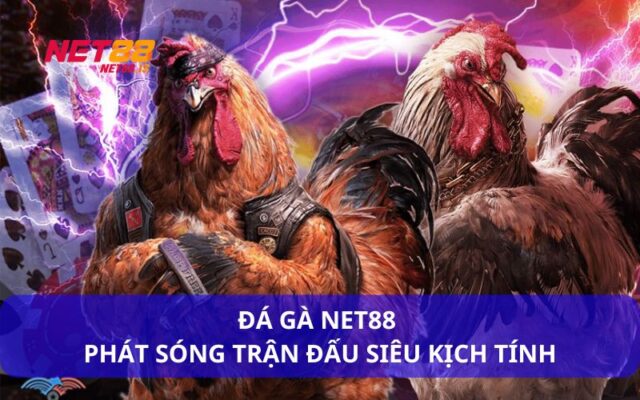 Đá Gà Net88 – Trải Nghiệm Cá Cược Đá Gà Trực Tuyến Sống Động Như Thật